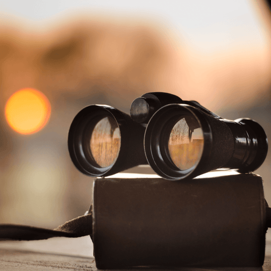 Exploring the Terrestrial World: Binoculars as Essential Outdoor Gear - dealskart.com.au