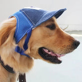 Dog Baseball Cap – Adjustable Sun Hat for Pets