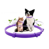 Anti-Anxiety Aromatherapy Pet Collar – 60 Day Relief