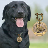 Antique Brass Pet ID Tag — Custom Engraved