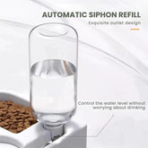 Automatic Siphon Pet Water & Food Bowl