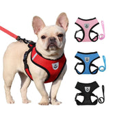 Comfort Fit Breathable Dog & Cat Harness — Soft Mesh