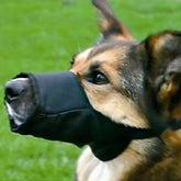 Comfort Fit Nylon Dog Muzzle – Adjustable Breathable