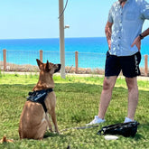 Custom Reflective No-Pull Dog Harness with ID Patch