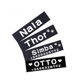 Custom Velcro Dog ID Patch — Personalized Name & Phone