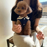 Stylish Cotton Dog Shirt with Collar for Small Pets