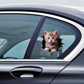 Cute 3D Kitten Car Body Sticker