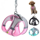 Dog Harness Leash Set for Small Dogs — Adjustable