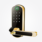 Smart Fingerprint Door Lock with Tuya App & PIN Access