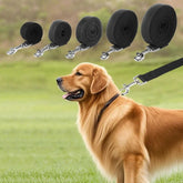 Heavy-Duty Nylon Dog Leash — Multiple Lengths