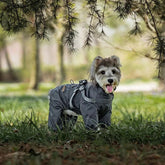 Insulated Waterproof Dog Jumpsuit with Built-in Harness