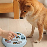 Interactive Dog Puzzle Slow Feeder Toy