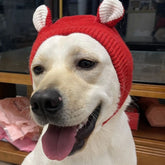 Knit Dog Ear Hood — Cozy Winter Pet Hat