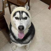 Knitted Pet Hat with Cute Ears — Cozy Dog & Cat Cap