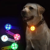 LED Rechargeable Dog Collar Safety Light