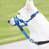 No-Pull Padded Dog Head Halter — Adjustable Control
