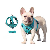 No-Pull Reflective Dog & Cat Harness — Padded Adjustable