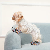 Non-Slip Dog Booties — 4-Pack Paw Protectors