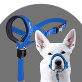 Padded No-Pull Dog Head Halter — Adjustable Control