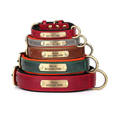 Personalized Leather Dog Collar with Engraved Plate