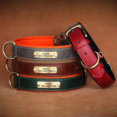 Personalized Leather Dog Collar with Nameplate