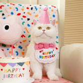 Pet Birthday Hat & Bandana Set — Small Dog & Cat Party