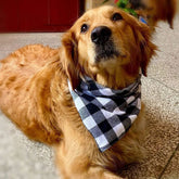 Plaid Dog Bandana — Adjustable Cotton Pet Scarf
