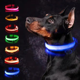 Rechargeable LED Glow Dog Collar — USB Safety Light