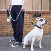 Reflective Braided Dog Leash with 360° Metal Clasp
