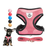 Reflective Breathable Dog Harness for Small Dogs