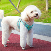 Reflective Mesh Pet Harness – Adjustable & Soft