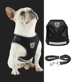 Reflective No-Pull Dog Harness & Leash Set