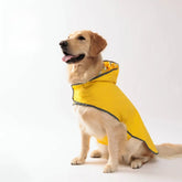 Reversible Waterproof Dog Raincoat — Reflective, Hooded