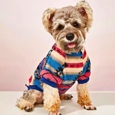 Warm Striped Pet Sweatshirt for Dogs & Cats