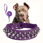Studded Leather Dog Collar with Leash — Heavy Duty & Protective