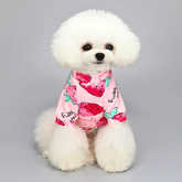 Warm Dog Hoodie Coat for Chihuahua & Small Pets