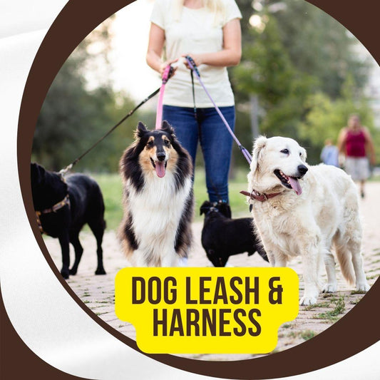 Dog Leashes and Harnesses: The Ultimate Guide for Pet Owners - dealskart.com.au