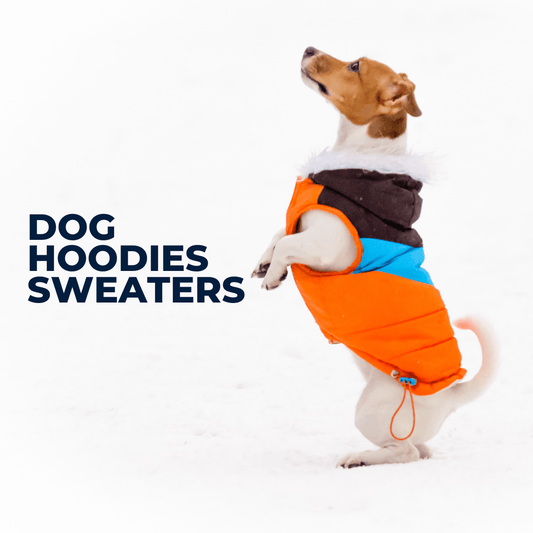 Fashionable and Functional: Dog Hoodies and Sweaters for Every Season - dealskart.com.au