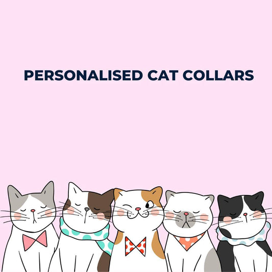 Personalised Cat Collar: Adding Style and Safety to Your Feline Friend - dealskart.com.au
