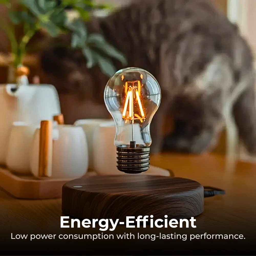 3D_Moon_Lamp_-_Energy-Efficient