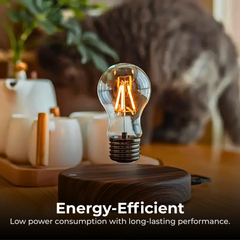 3D_Moon_Lamp_-_Energy-Efficient