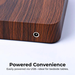 3D_Moon_Lamp_with_Wooden_Stand_-_Powered_Convenience