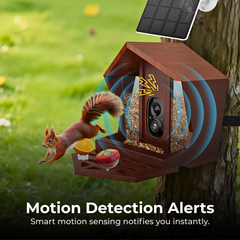 AI Smart Bird Feeder Camera with Solar Charging