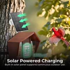 AI Smart Bird Feeder Camera with Solar Charging