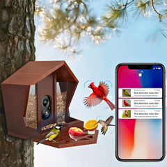 AI Smart Bird Feeder Camera with Solar Charging