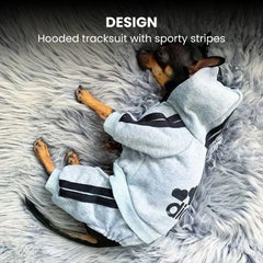 Adidog Stripe Hoodie Jumpsuit — Small Dog Tracksuit