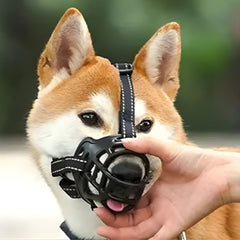 Adjustable Breathable Basket Dog Muzzle – Nylon Strap