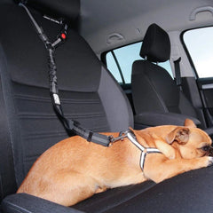 Adjustable Elastic Dog Seat Belt Leash