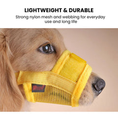 Adjustable Mesh Dog Muzzle for Safe Training & Walking