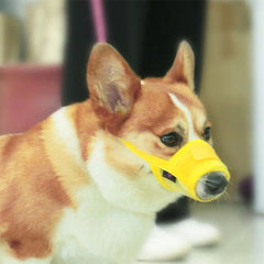 Adjustable Mesh Dog Muzzle for Safe Training & Walking
